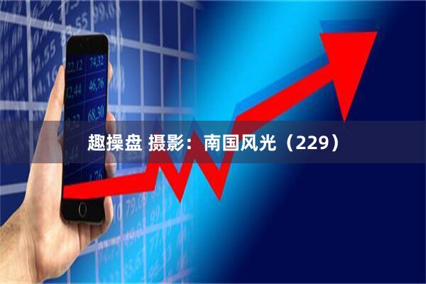 趣操盘 摄影：南国风光（229）