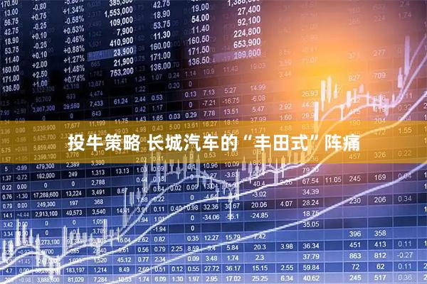 投牛策略 长城汽车的“丰田式”阵痛